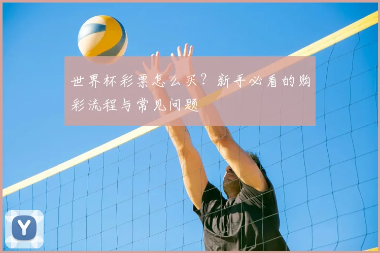 世界杯彩票怎么买？新手必看的购彩流程与常见问题