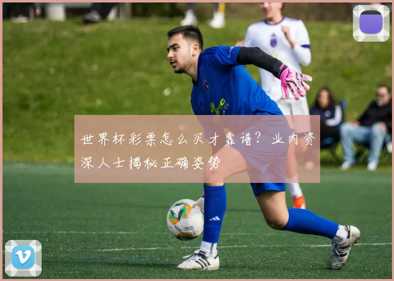 世界杯彩票怎么买才靠谱？业内资深人士揭秘正确姿势