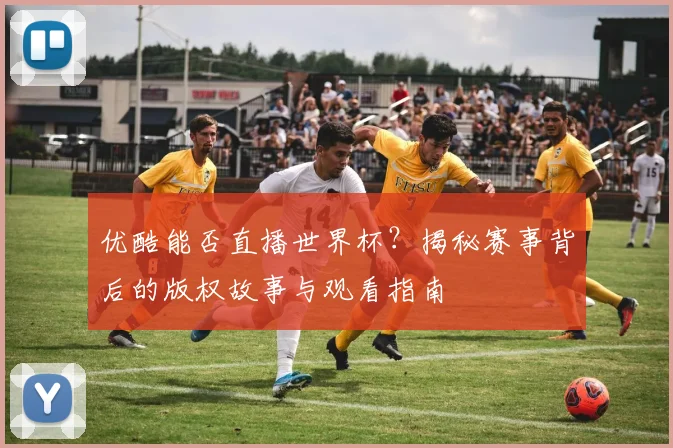 优酷能否直播世界杯?揭秘赛事背后的版权故事与观看指南